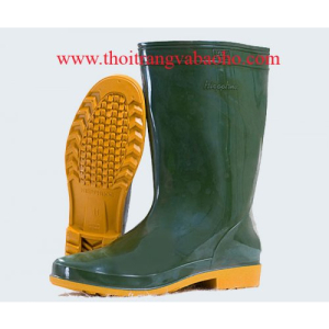 Ủng BHLĐ 01