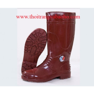Ủng BHLĐ 02