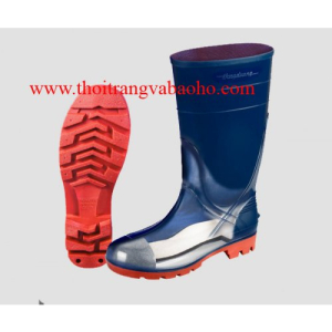 Ủng BHLĐ 19 Ủng BHLĐ 19
