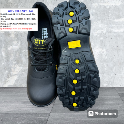 Giày BHLĐ NTT :  D01 
