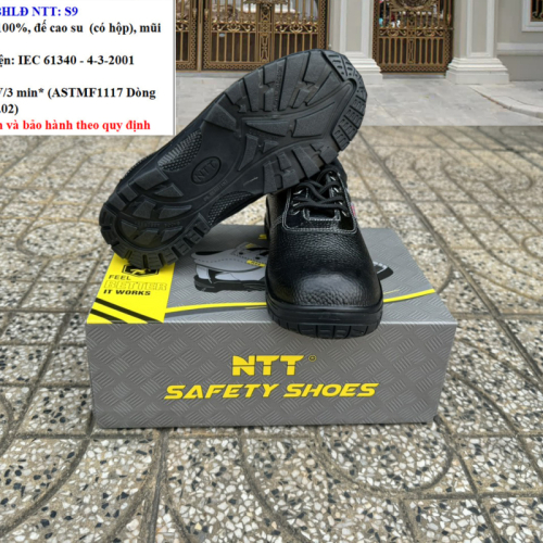 Giày hộp NTT S9