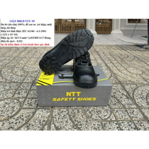 Giày hộp NTT S9